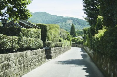 🏯 지란 무가 저택 정원 (지란 부케야시키 테이엔) 이미지 3